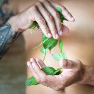  Shower gel 3 i 1 til mænd Energy of mint flaske 500 ml