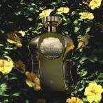 Afnan Highness X Eau de Parfum til mænd