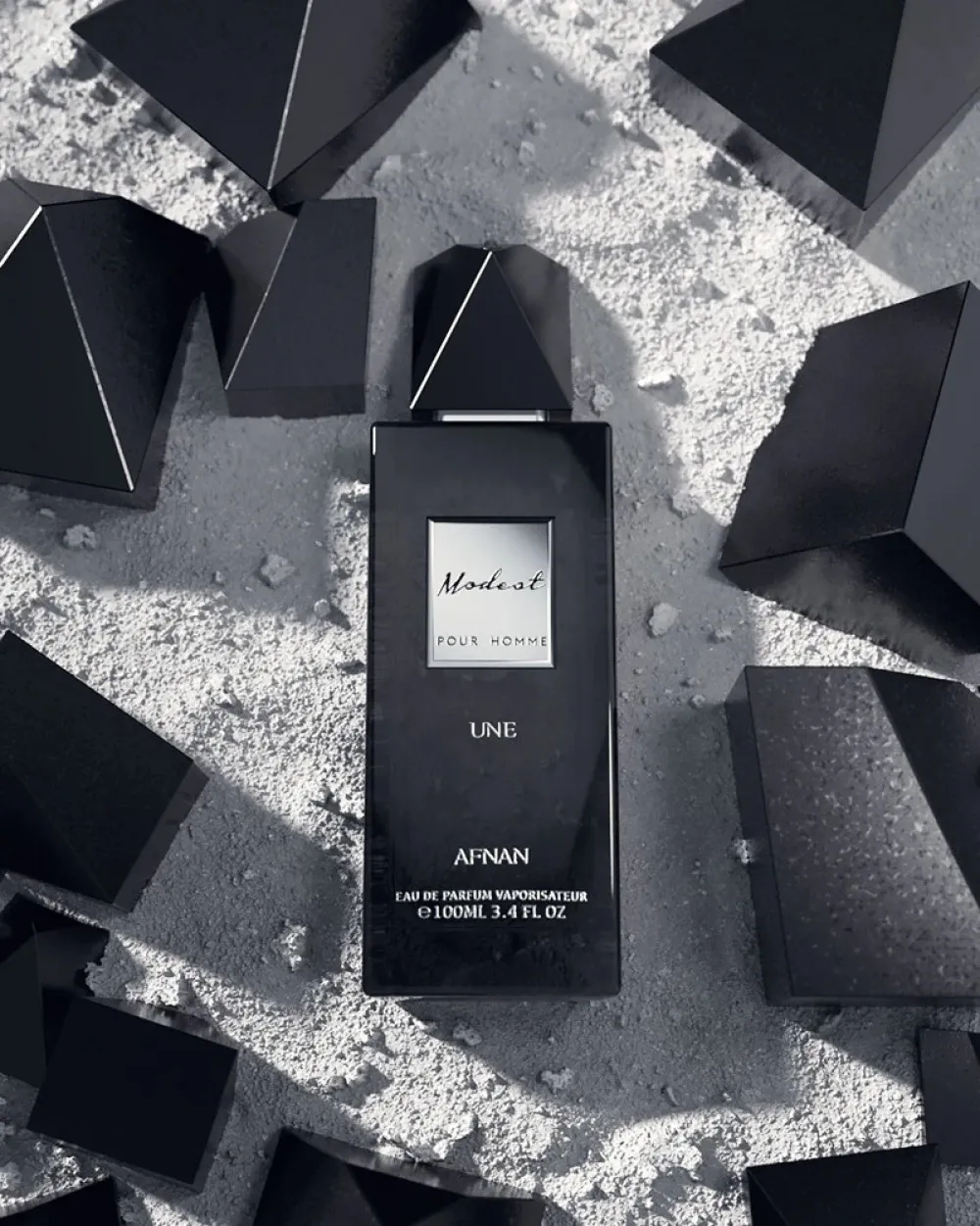 Modest Une Pour Homme parfumeret vand 100 ml til mænd