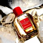 Ambassadora For Women eau de parfum til kvinder 100 ml