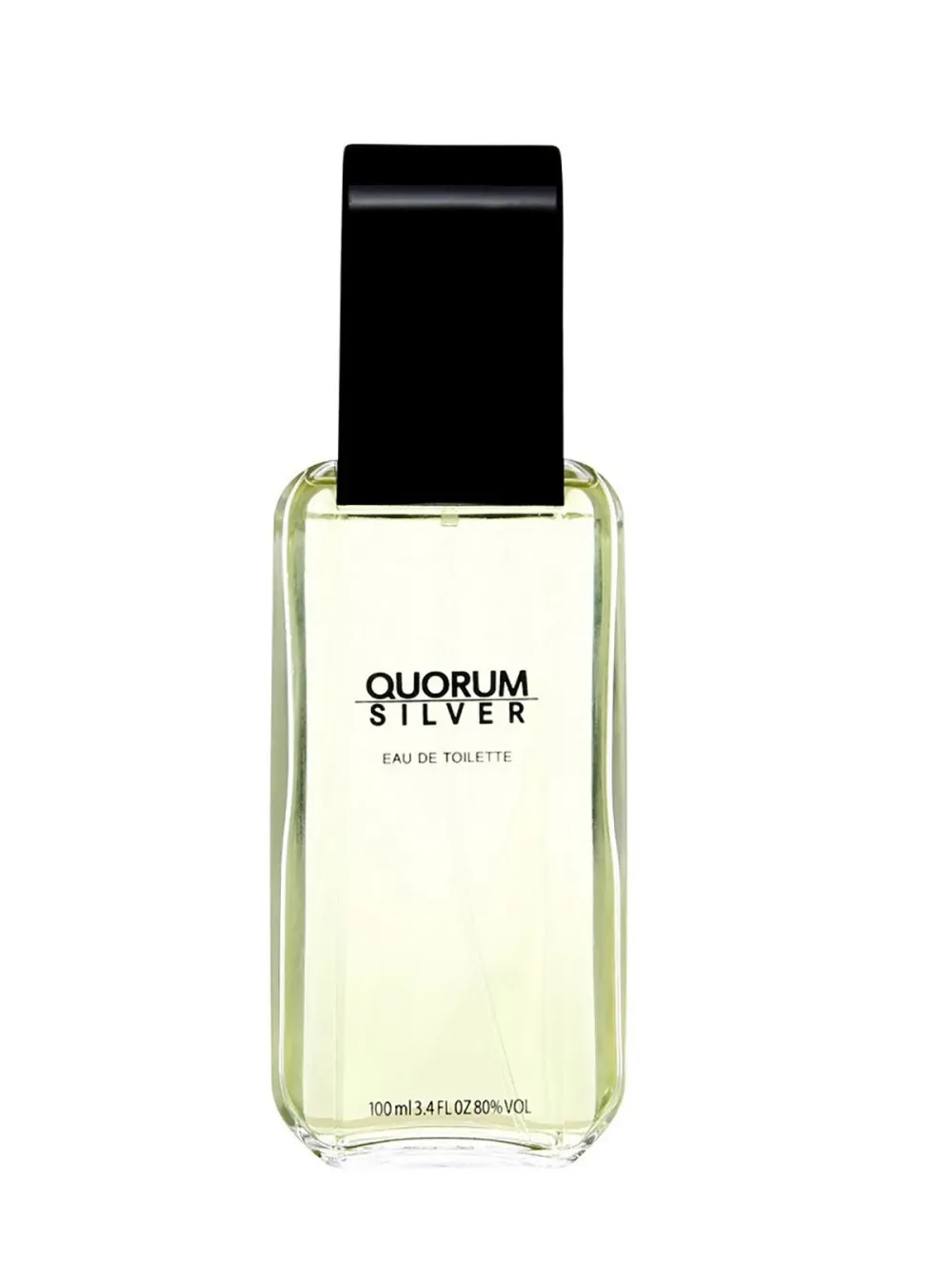 Quorum Silver eau de toilette 100 ml til mænd