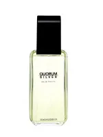 Quorum Silver eau de toilette 100 ml til mænd