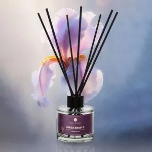 Kimmy Candles Aroma diffusor Aurora Mirabilis