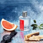 Sport eau de toilette til mænd 100 ml