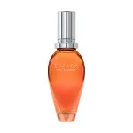 Bali Paradise Eau de Toilette til kvinder 100 ml