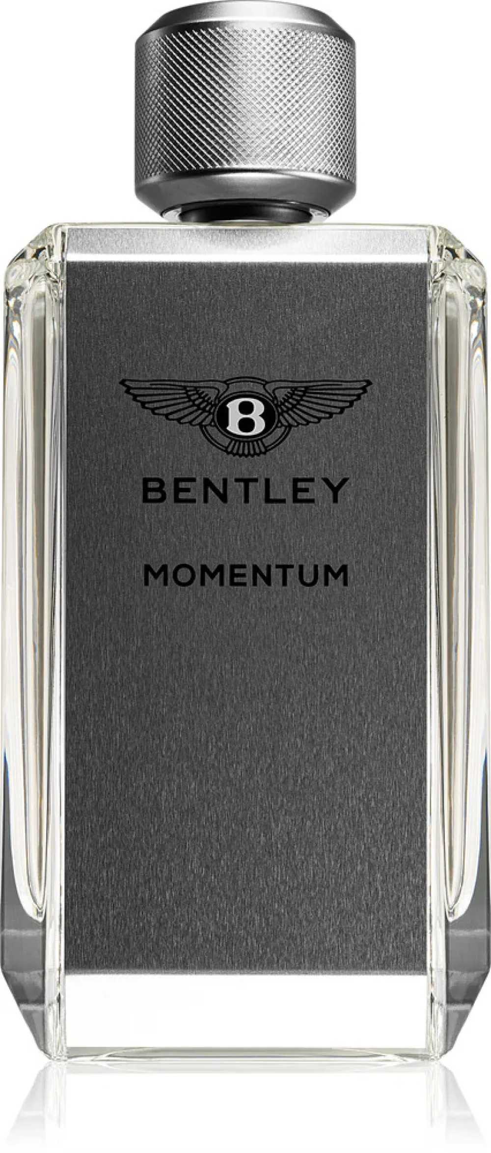 Momentum Eau de Toilette til mænd 100 ml