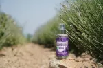 Purity Vision Økologisk lavendelvand 100 ml