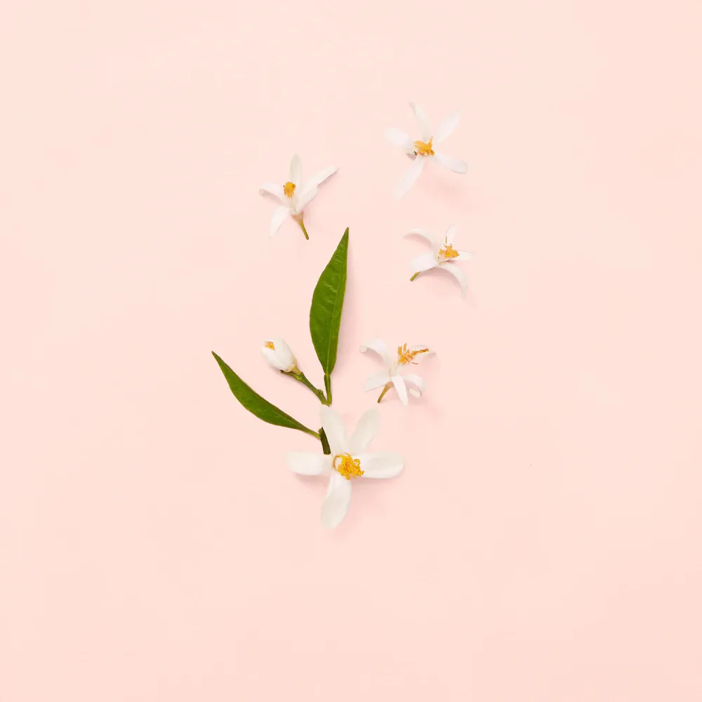 Bloom eau de toilette til kvinder 100 ml