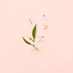 Bloom eau de toilette til kvinder 100 ml