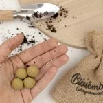 Blossombs Frøbomber - Mini gavesæt - Urtehave (4 stk.) - en original og praktisk gave i én