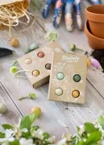 Blossombs Seed Bombs - Mini Gift Set - Party (4 stk) - Giv en blomst på en anderledes måde