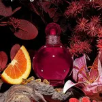 Hidden Fantasy parfume til kvinder 100 ml
