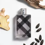 Brit For Men eau de toilette til mænd 100 ml
