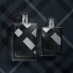 Brit For Men eau de toilette til mænd 100 ml