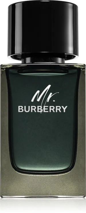 Burberry Mr. Burberry parfume til mænd 100 ml