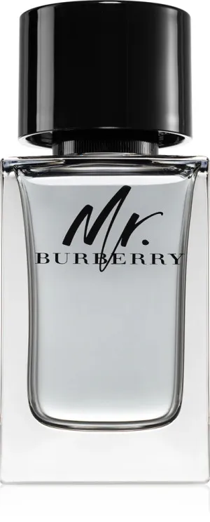 Burberry Mr. Burberry eau de toilette til mænd 100 ml