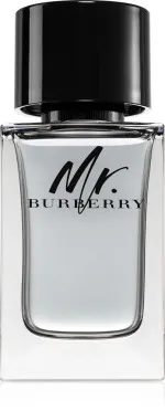 Mr. Burberry eau de toilette til mænd 100 ml