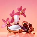Euphoria parfumeret vand til kvinder 50 ml