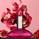 Euphoria parfumeret vand til kvinder 50 ml