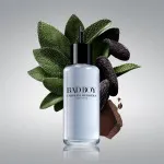 Bad Boy toiletvand til mænd 100 ml