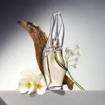 Cashmere Mist Eau de Toilette til kvinder 100 ml