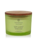Awaken + Invigorate duftlys med 3 væger 312 g