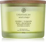 Awaken + Invigorate duftlys med 3 væger 312 g
