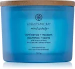 Confidence + Freedom duftlys med 3 væger 312 g