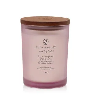 Chesapeake Bay Joy + Laughter duftlys 250 g