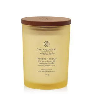 Chesapeake Bay Strength + Energy duftlys 250 g