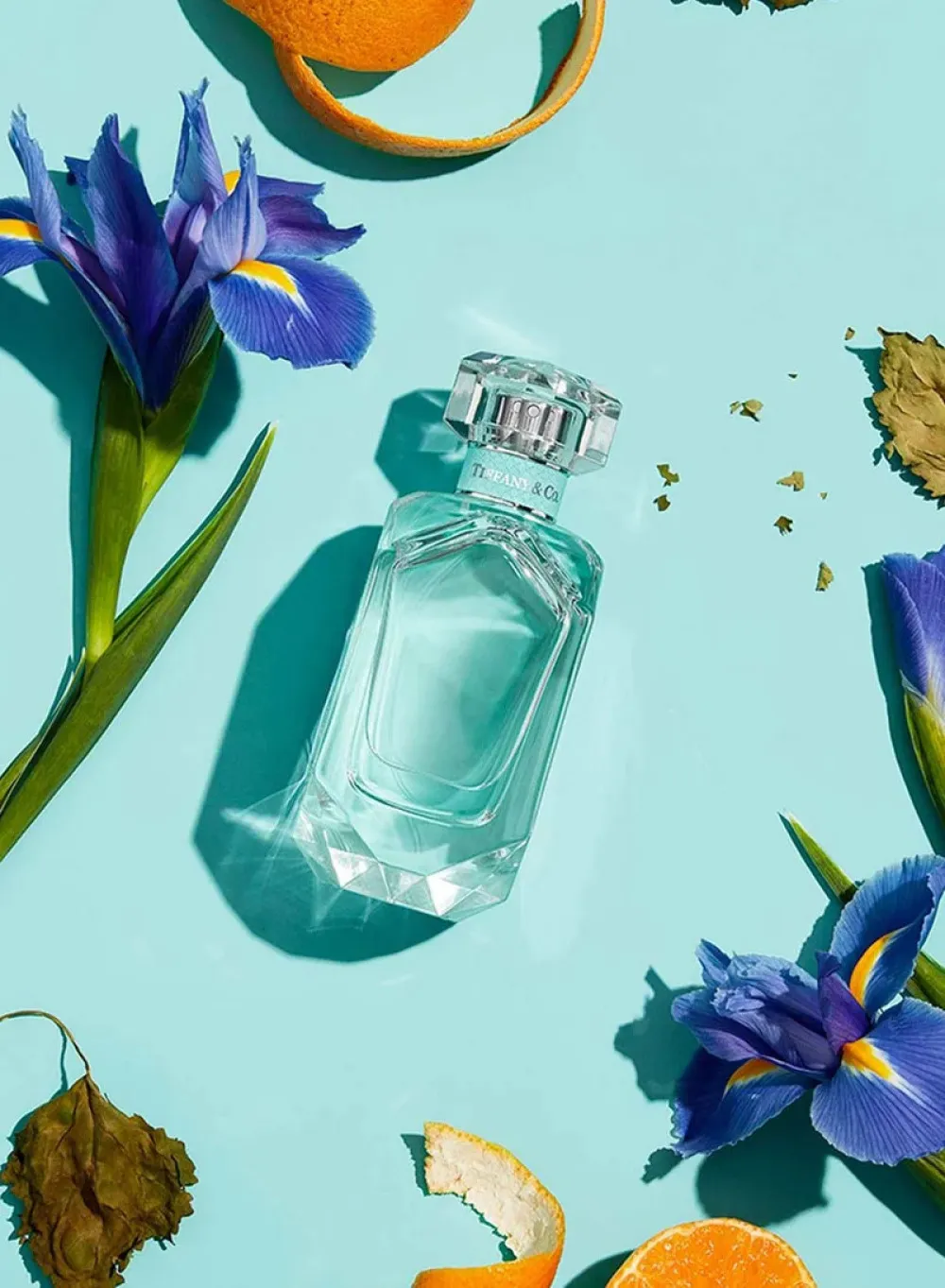 & Co. Eau de Parfum til kvinder 75 ml