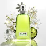 Cologne Come Together eau de toilette unisex 100 ml