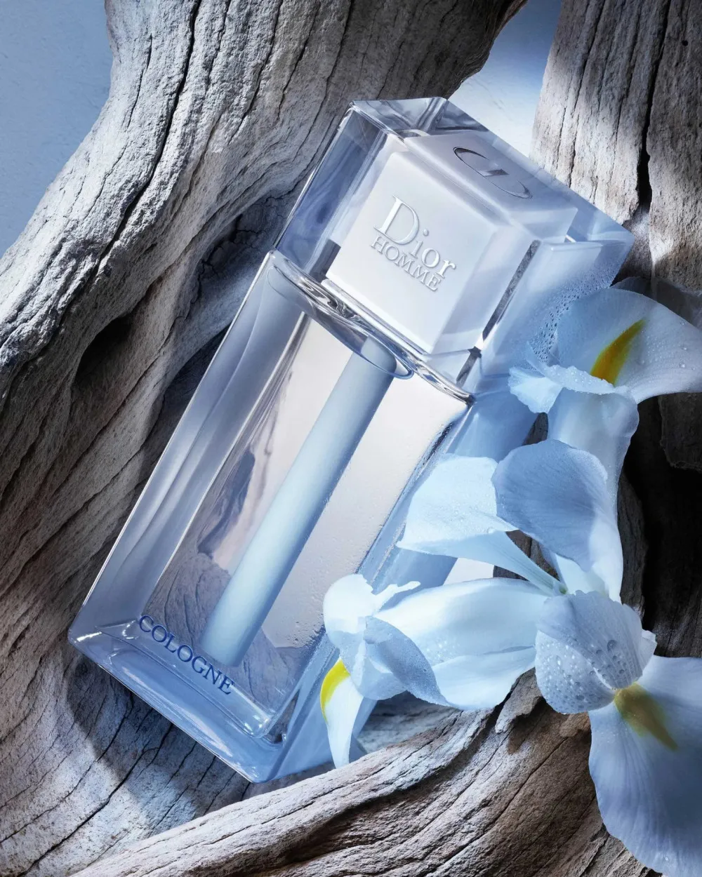 Homme Cologne 2013 cologne til mænd 75 ml