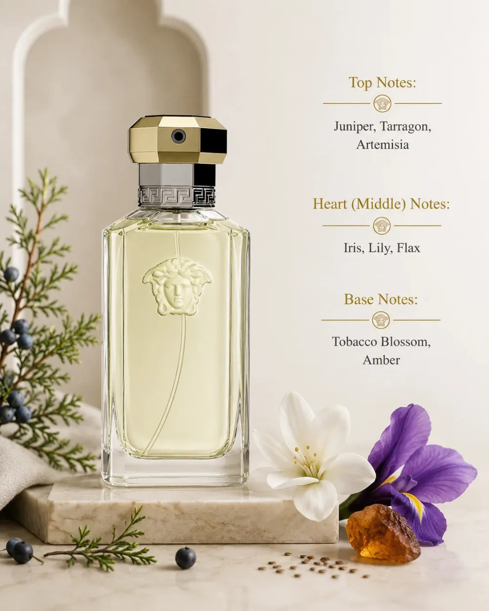 Dreamer Eau de Toilette til mænd 50 ml