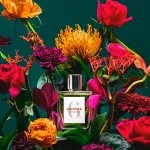 Eight & Bob Annicke 6 Eau de Parfum til kvinder 100 ml