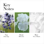 White Tea eau de toilette 50 ml til kvinder