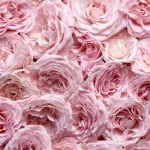 Especially Eau de Parfum til kvinder 30 ml