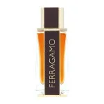 Spicy Leather Eau de Parfum til mænd 100 ml