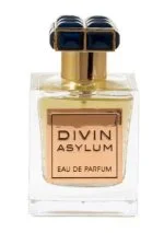 Divin Asylum Unisex Eau de Parfum 100 ml