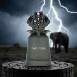 Thunder U Eau de Parfum 100 ml