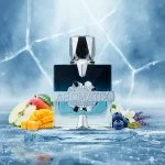 Aromatix Frostbite U parfumeekstrakt 100 ml