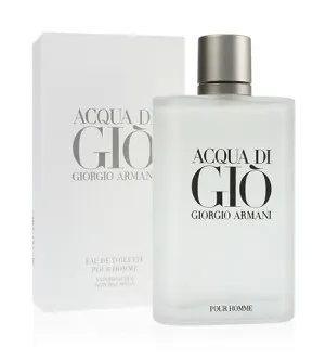 Giorgio Armani Acqua di Gio Pour Homme eau de toilette til mænd 100 ml