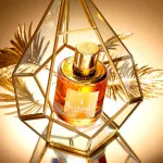 Ambassador For Women Eau de Parfum til kvinder 50 ml