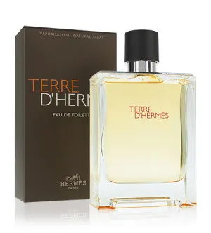 Hermes Terre d'Hermes eau de toilette til mænd 100 ml