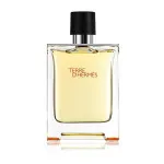 Terre d'Hermes Parfum parfume til mænd 75 ml