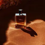 Terre d'Hermes eau de toilette til mænd 50 ml