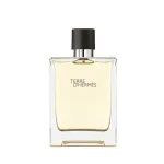 Terre d'Hermes eau de toilette til mænd 50 ml