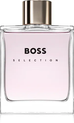 Hugo Boss Boss Selection eau de toilette til mænd 100 ml