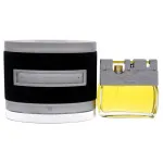 Insurrection Eau de Toilette til mænd 100 ml