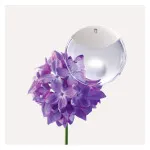 A Drop d'Issey parfume 50 ml til kvinder